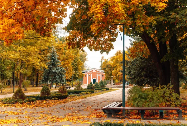 Leere Holzbänke Und Malerischer Herbstpark — Stockfoto