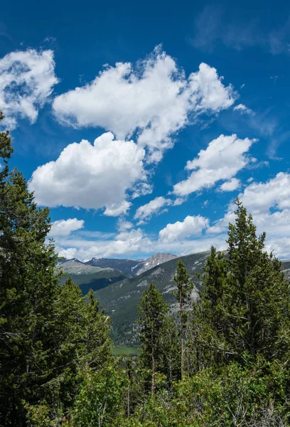 Rocky Mountains Sommargröna Panorama Colorado Usa Berg Och Moln — Stockfoto