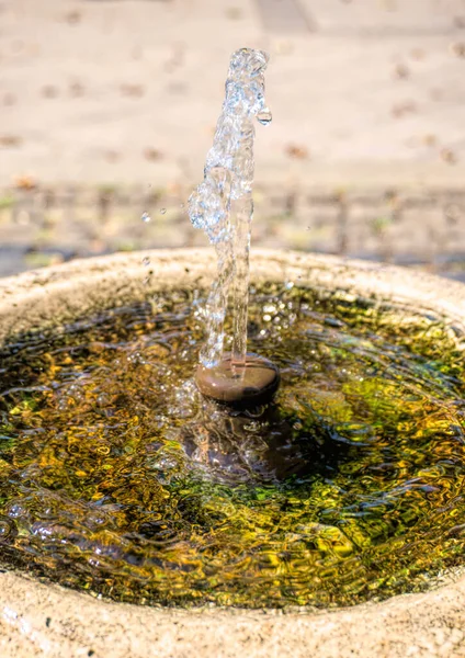 Pump room with mineral drinking water in the background of a city park in Budapest, Hungary