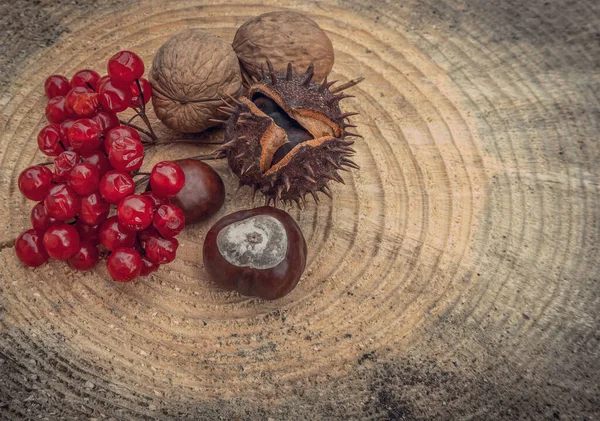 Frutas Outono Fundo Para Cartão Férias — Fotografia de Stock