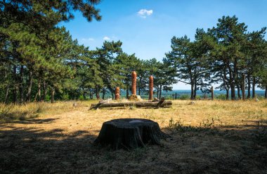  Poltava, Ukrayna - 26 Temmuz 2020: Ukrayna 'nın Poltava kenti yakınlarındaki bir çam ormanının içindeki antik bir putperest tapınağının tahta totem kutupları. Açık hava müzesi ve Avrupa 'da putperest tanrılara ibadet