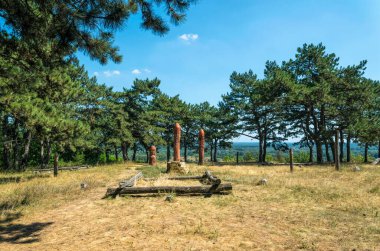  Poltava, Ukrayna - 26 Temmuz 2020: Ukrayna 'nın Poltava kenti yakınlarındaki bir çam ormanının içindeki antik bir putperest tapınağının tahta totem kutupları. Açık hava müzesi ve Avrupa 'da putperest tanrılara ibadet