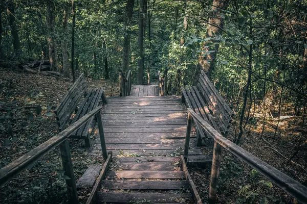 Herbstwanderung Durch Den Laubwald Alte Verwitterte Eichentreppe Und Abstieg Vom — Stockfoto