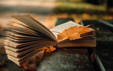 Eski kağıt kitap ve düşmüş sarı yapraklı sonbahar bahçesi.