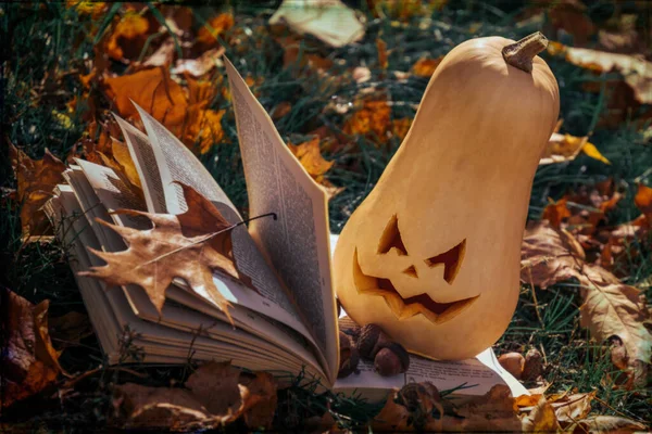 Ondskefulla Snidade Pumpa Till Halloweenfesten Traditionell Trädgårdsdekoration — Stockfoto