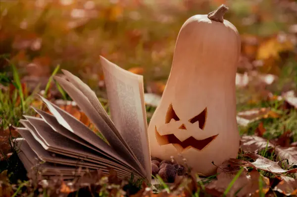 Ondskefulla Snidade Pumpa Till Halloweenfesten Traditionell Trädgårdsdekoration — Stockfoto