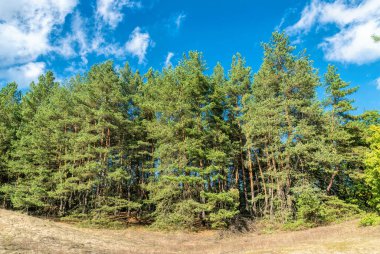 Güneşli sonbahar akşamı boşlukta