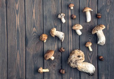 Düşmüş meşe yaprakları ve taze toplanmış yenilebilir orman mantarları. Sonbahar arkaplanı, dekorasyon ve doku