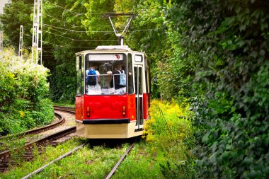 Gdansk 'taki eski yeşil parktaki klasik tramvay.