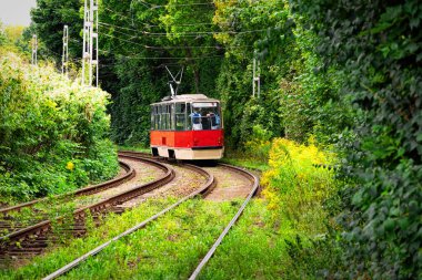 Gdansk 'taki eski yeşil parktaki klasik tramvay.