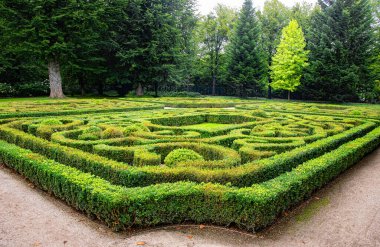 Eski bir sonbahar bahçesinde budanmış tahta çalılar.