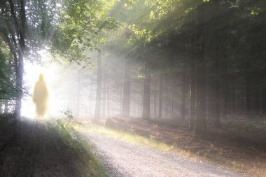 Jesus Christ walking after His resurrection. Figure in sun lights. Sunning shine in forest. clipart
