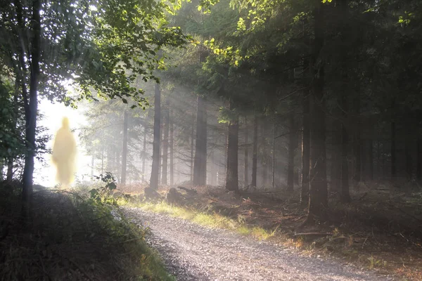 Gesù Cristo che cammina dopo la Sua risurrezione. Figura alla luce del sole. Sole splende nella foresta . — Foto Stock