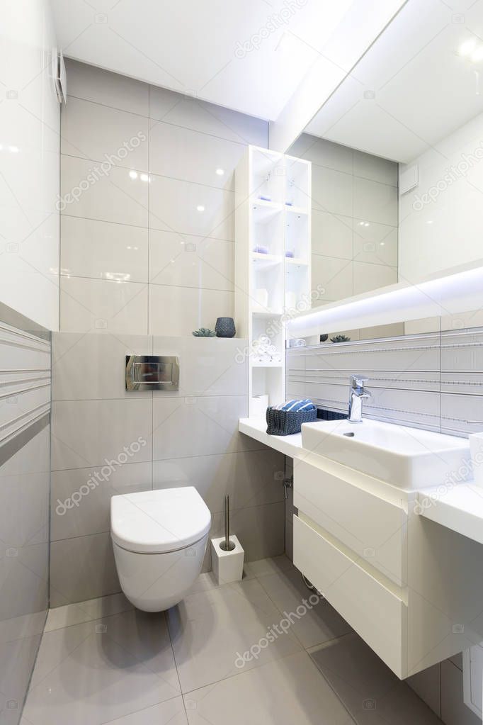 Toilet room or WC. Modern interior design