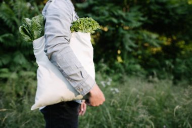Elinde bakkalla dolu bir eko çanta tutan adam. Sebze ve meyveler. Ekoloji kavramı çevre koruma.