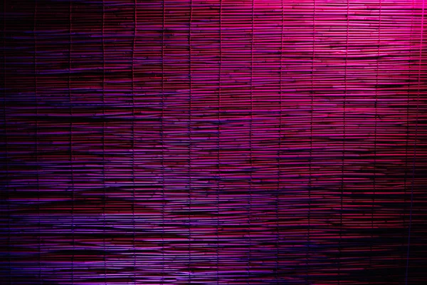 Reeds Fundo Iluminado Por Luzes Néon — Fotografia de Stock