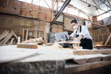 Kadın marangoz atölyesinde kereste fabrikasıyla çalışıyor.
