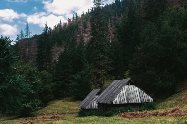 Polonya 'daki Tatras dağlarında yalnız bir kulübe.