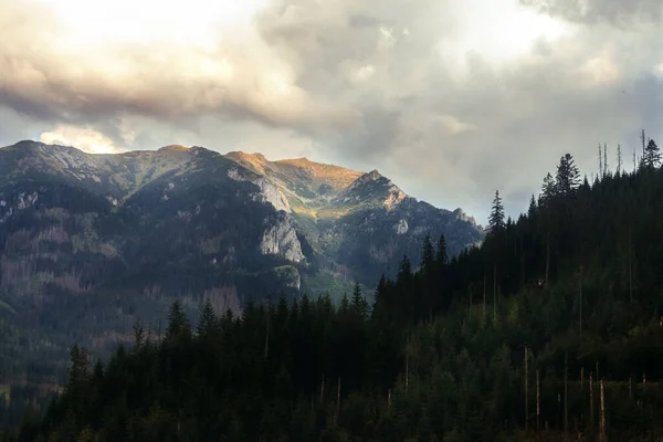 Polonya 'daki Tatras Ulusal Parkı' ndaki dağ manzarası 
