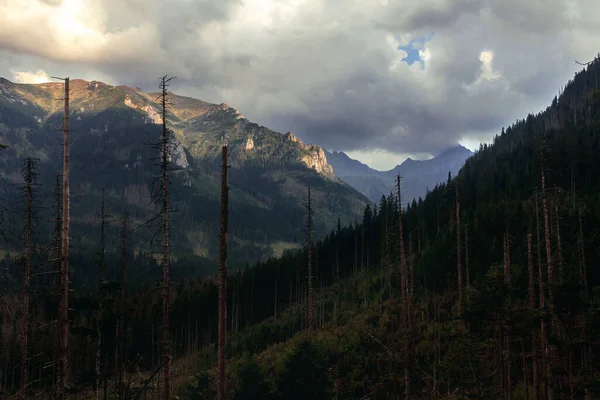 Polonya 'daki Tatras Ulusal Parkı' ndaki dağ manzarası 