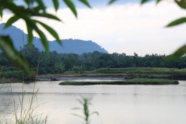 Gölet tepelerin eteklerine kadar yayıldı.