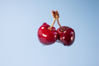 Mavi arka planda kirazlar