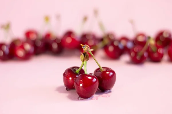 분홍색 배경의 열매들 — 스톡 사진