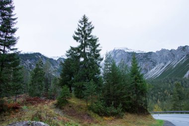 Avusturya 'daki sonbahar dağ manzarası