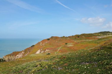 İlkbaharda kayalık kaya pelerini