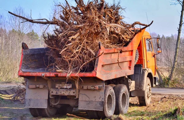 Caminhão Tira Lixo Árvores Arrancadas Depois Limpar Terra Floresta Para Imagens De Bancos De Imagens