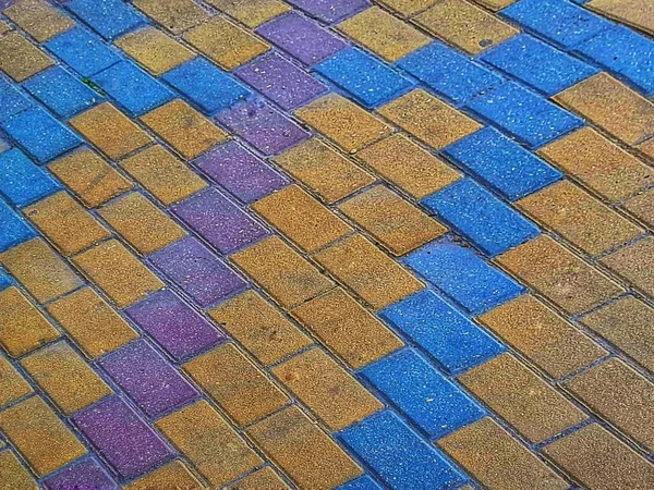 Pavage Tuiles Multicolores Sous Forme Une Mosaïque Dans Rue — Photo