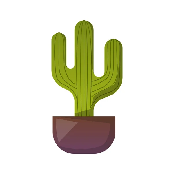 선인장 아이콘 일러스트입니다 화분에 인테리어 멕시코 Succulent입니다 — 스톡 벡터