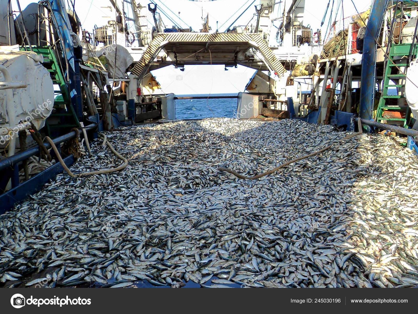 Fishing Boat Took Catch Ocean Fishing Sea Fishing Ship Lot — Stock Photo ©  AlenaLitvin #245030196