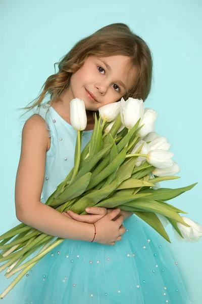 Studio photo of small beautiful girl 5-6 years with curls of hair on blue background, hold white tulips. Holiday greetings. Women\'s day. Teacher\'s day. Gratitude. Natural beauty. Soft clean skin