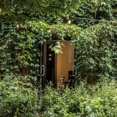 Eski binanın yanındaki huzurlu, romantik bir restoran. Bitkilerden oluşan bir duvarda bir kapı. Kapıyı aç.