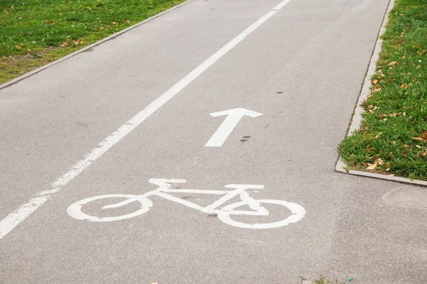 Bicycle path sign on asphalt, direction sign for bicycles. Traffic Laws