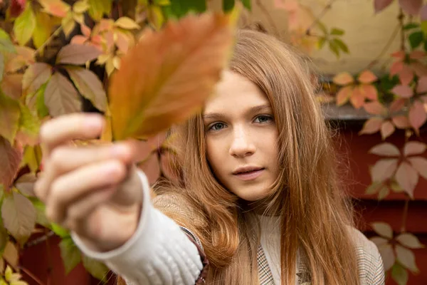 Młoda Nastoletnia Dziewczyna Imbir Modzie Zachmurza Piegi Jesiennymi Liśćmi Dłoni — Zdjęcie stockowe