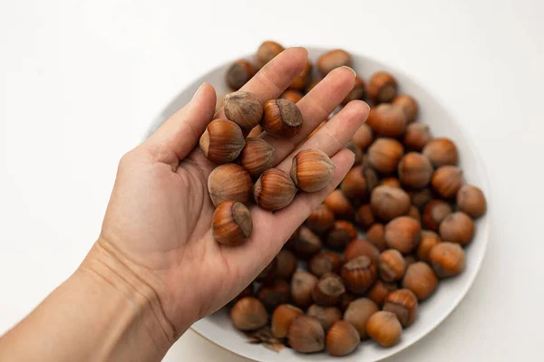 Hazelnut Hill Tangan Perempuan Latar Belakang Piring Dengan Kacang Foto — Stok Foto