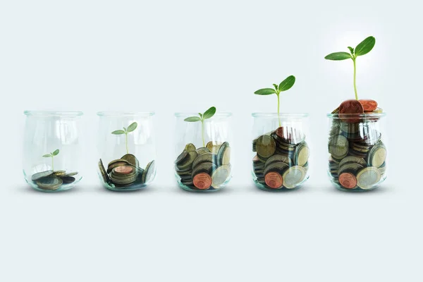 Raise money concept with cash money and growing plant in transparent jar on white background