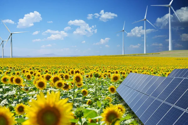 Ressources Énergétiques Renouvelables Milieu Naturel Avec Champ Tournesol Panneaux Photovoltaïques — Photo