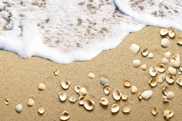 Mušle Písečné Pláži Mořskou Pěnou Vlnami — Stock fotografie