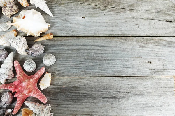 Schöne Marine Hintergrund Mit Verschiedenen Schnecken Auf Holztisch Kopierraum — Stockfoto