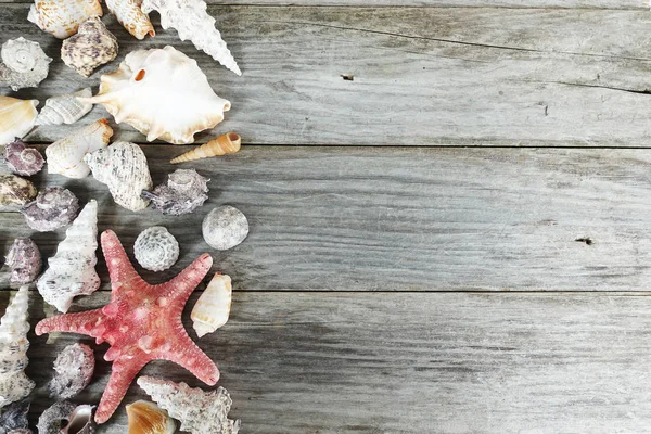 Schnecken Muscheln Und Sand Auf Holzgrund Natürlicher Hintergrund — Stockfoto