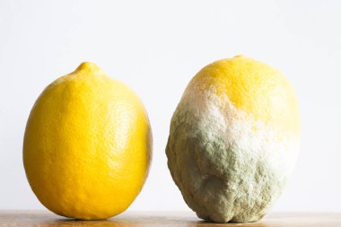 Çürümüş ve taze limon beyaz arka plan üzerinde izole