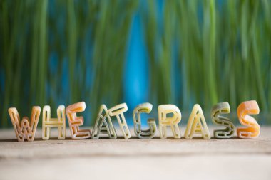 Buğday çimi kelime yeşil doğal wheatgrass arka plan karşı makarna harfleri yazı tipi ile yazılmış