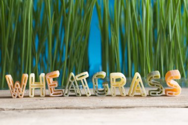Alfabe makarnadan wheatgrass kelime ile buğday bitkisinin sağlık veren genç sürgünler