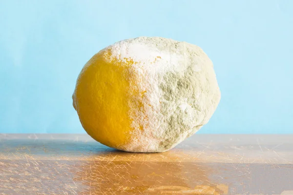 Blízká Zkažená Organická Citronová — Stock fotografie