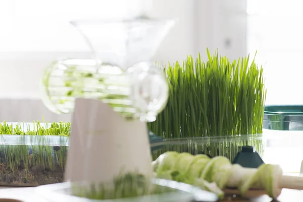 집에서 식물로 주스를 만들고 건강한 해독하십시오 — 스톡 사진