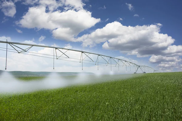 Modern agriculture with irrigation system watering wheat field on a spring day