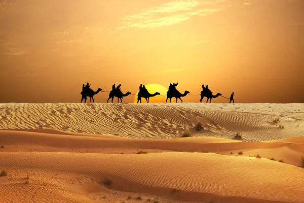 Kamelkarawane Den Sanddünen Der Arabischen Wüste Bei Orangefarbenem Sonnenuntergang Stockbild